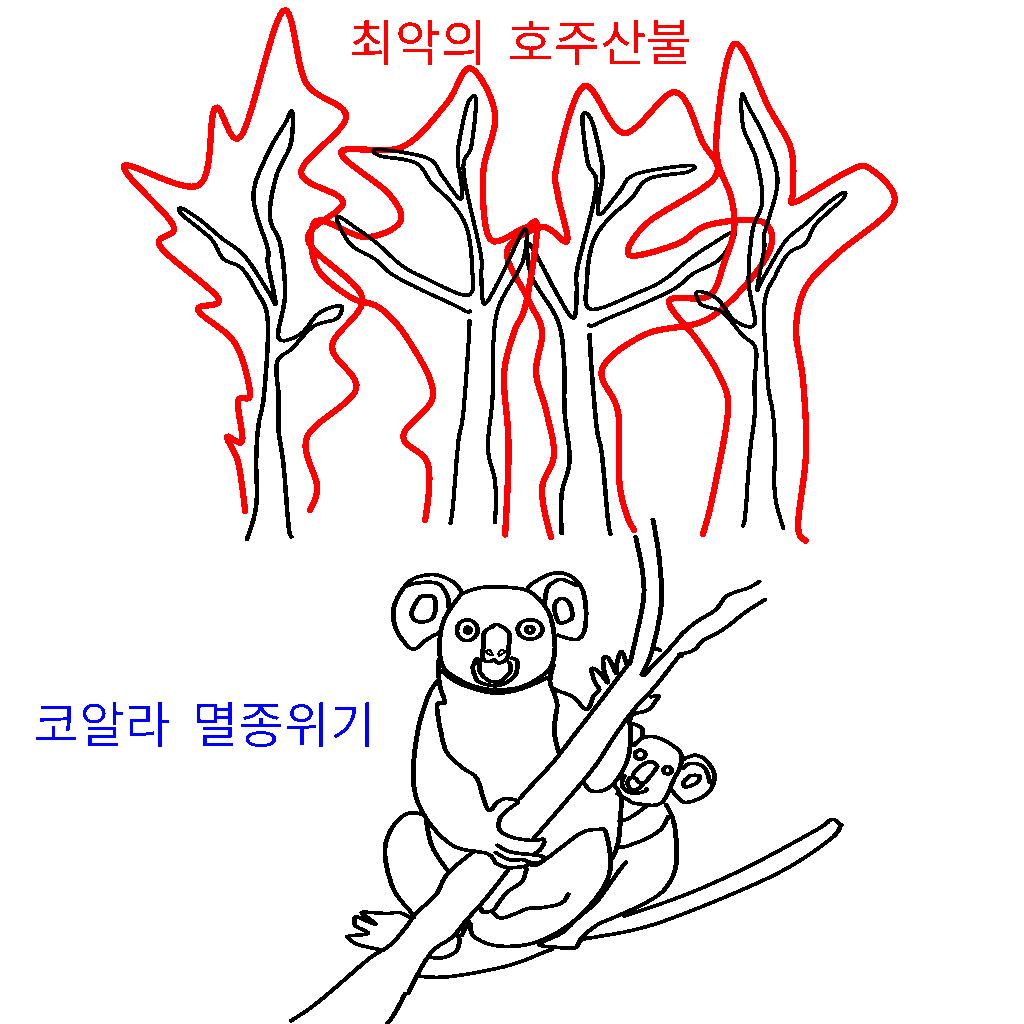  최악의 호주산불 원인 및 코알라 멸종위기
