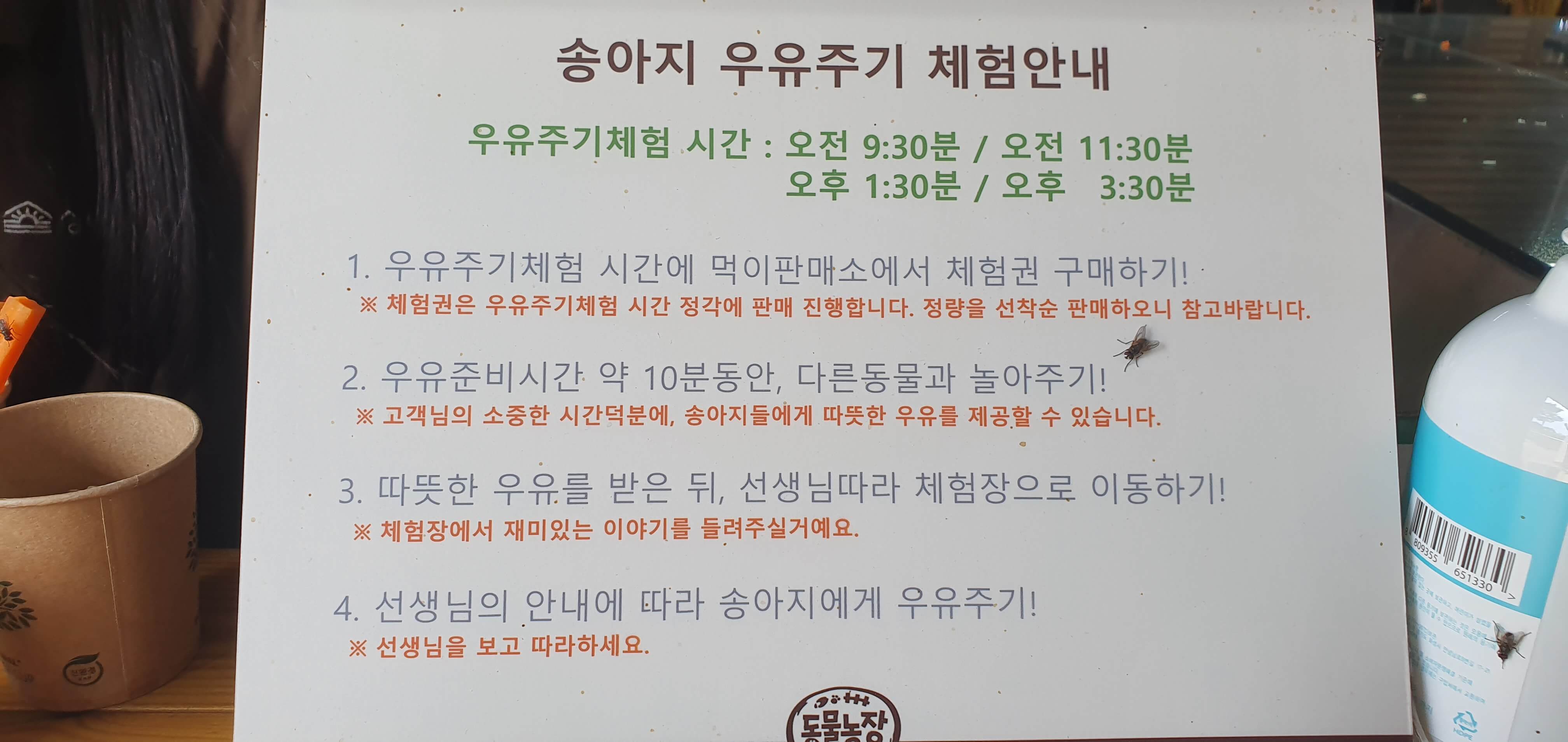 상하농원 송아지 우유주기 체험시간표