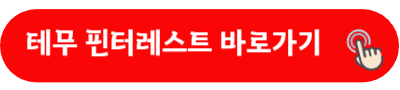 테무 핀터레스트 바로가기