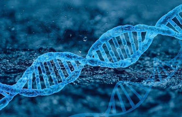 HK이노엔 주가와 배당 분석 – 2025년 투자전략 완벽 가이드