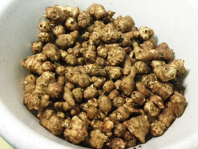 돼지감자 (따탕지)