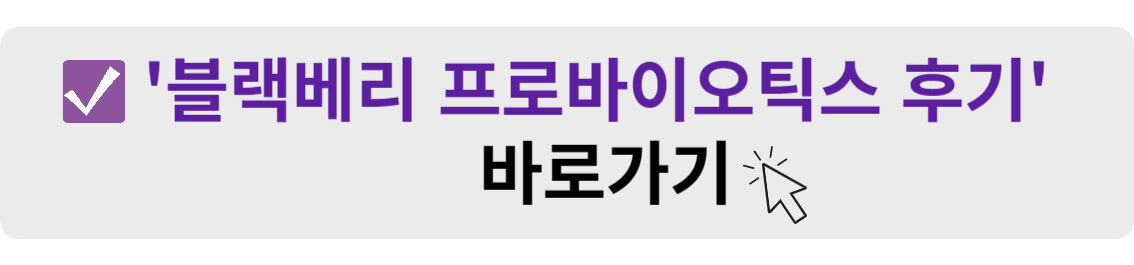 블랙베리 프로바이오틱스 후기 바로가기