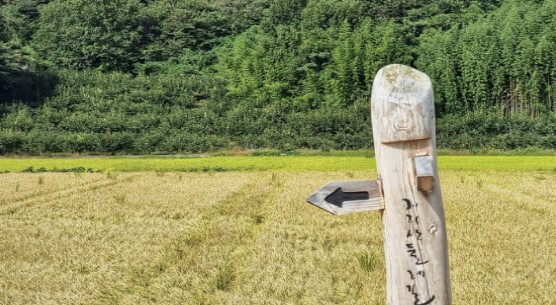 지리산둘레길-걷기축제