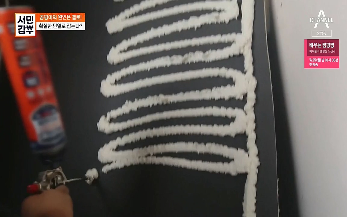 서민 갑부.E393.220724p-NEXT.mp4_20220724_142735.117.jpg