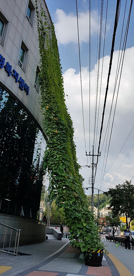 kbs1tv 다큐온 KBS1TV // 회천3동 생태그늘막 6