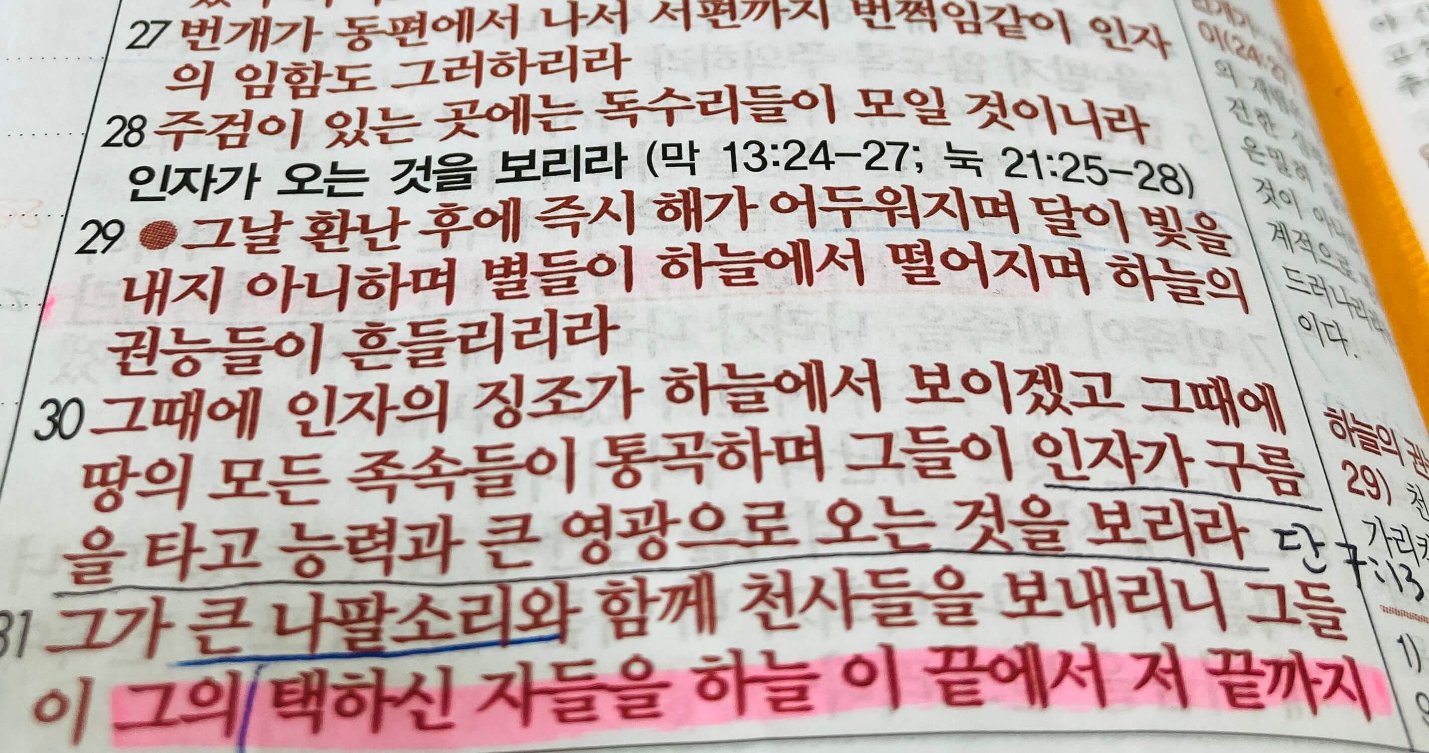 멸망의 가증한 것&#44; 큰 환난&#44; 택하신 자들&#44; 번개와 독수리