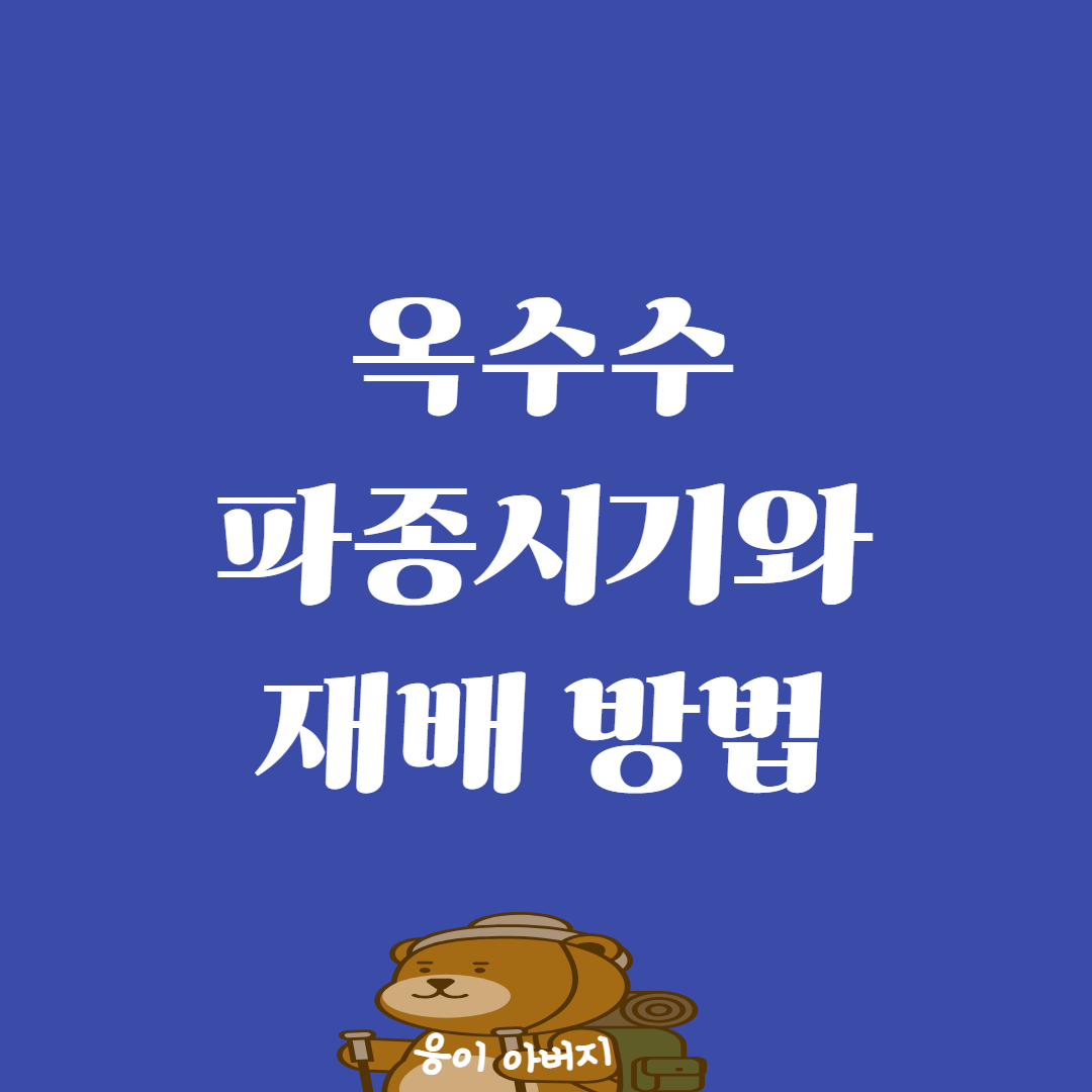 옥수수 파종시기 심는시기 재배방법1