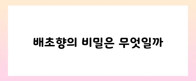 배초향 효능, 부작용 및 먹는법