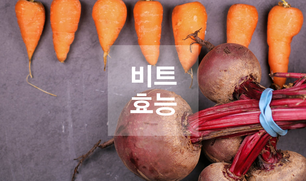  비트 효능