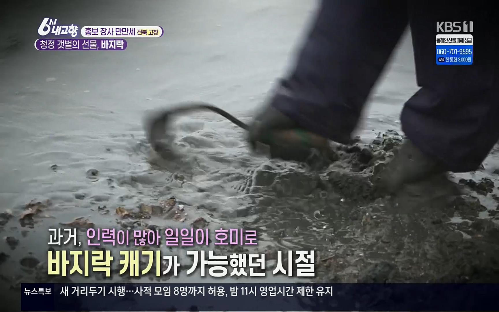 6시 내고향.E7494.220322p.H264-F1RST.mp4_20220326_174046.833.jpg