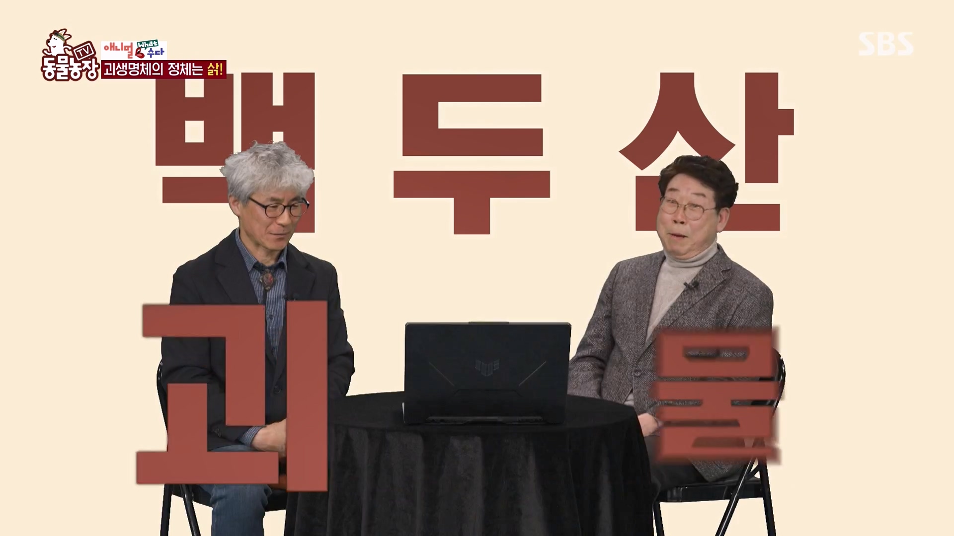 TV 동물농장.E1164.240324p-NEXT.mp4_20240324_170523.418.jpg