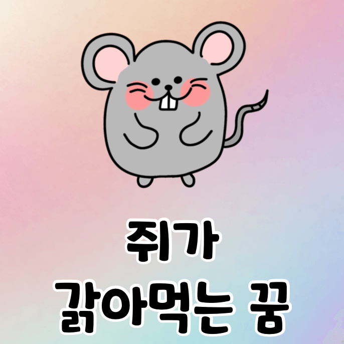 쥐