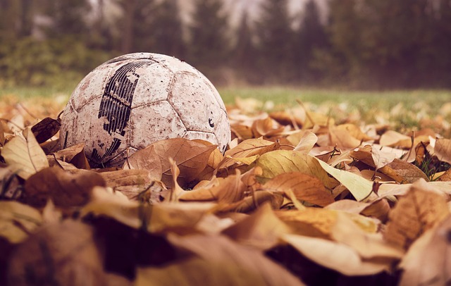 아시안컵 축구 경기일정