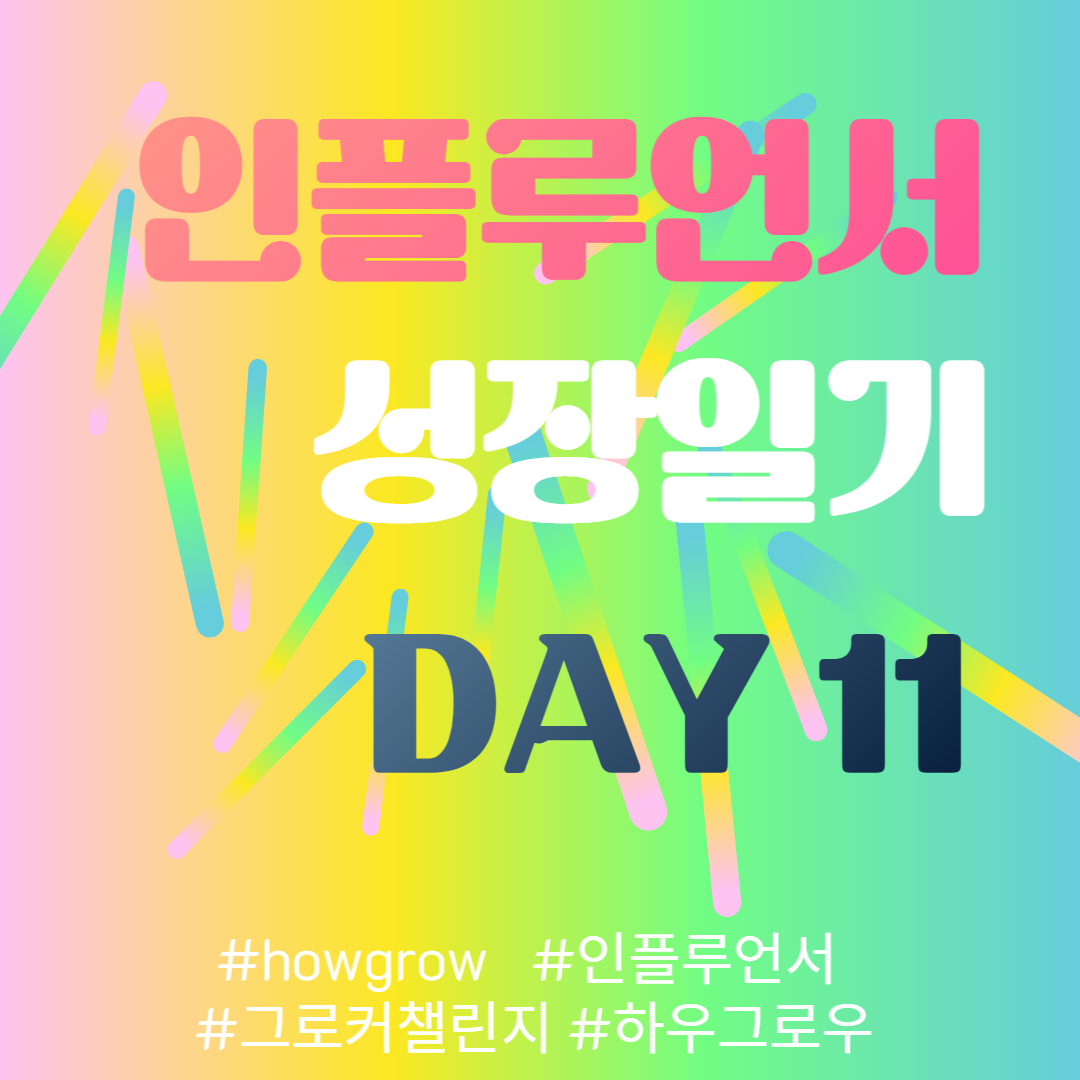  11차- 인플우언서 성장일기 11일차