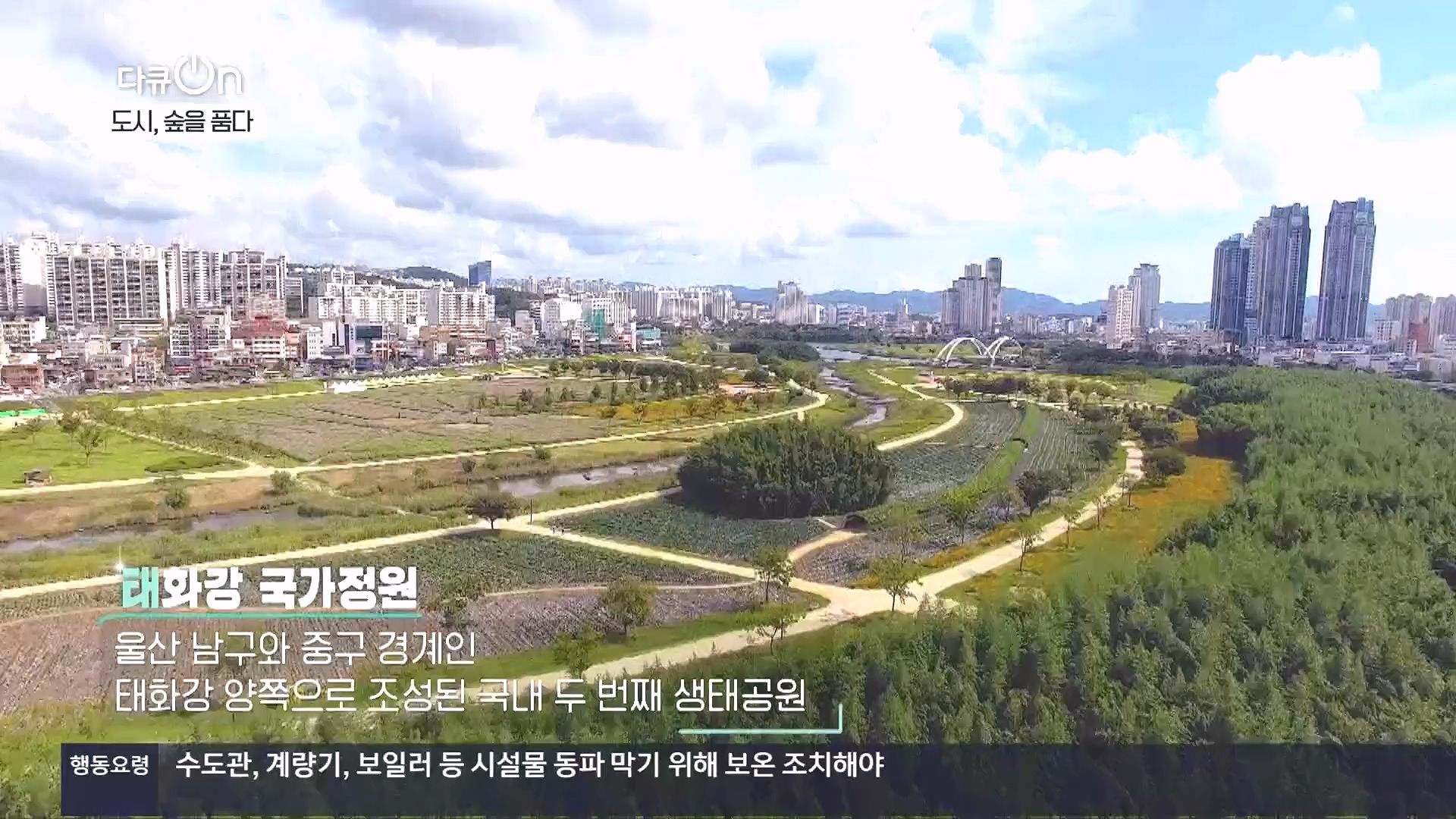 다큐 On.E232.231216p.H264-F1RST.mp4_20231220_212234.748.jpg
