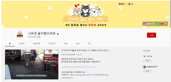  한국인들이 하고 있는 반일 운동 일본 상품 불매 운동 끝판왕 레전드 흑역사 사건 유튜브 시바견 곰이탱이여우 채널 테러 사건