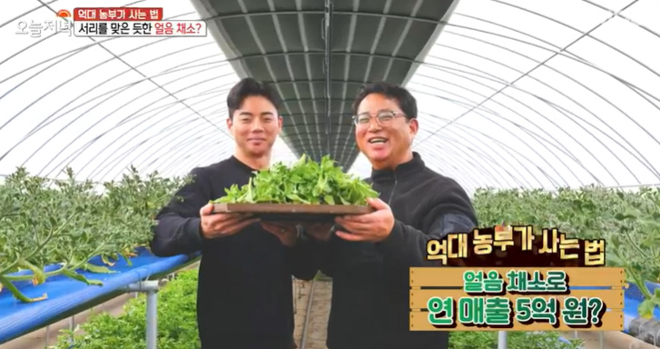 채소사는곳 이미지