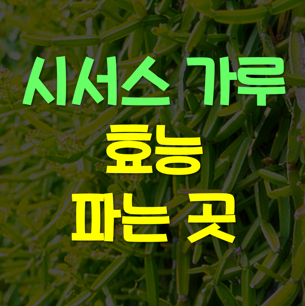  시서스 가루파는곳, 효능