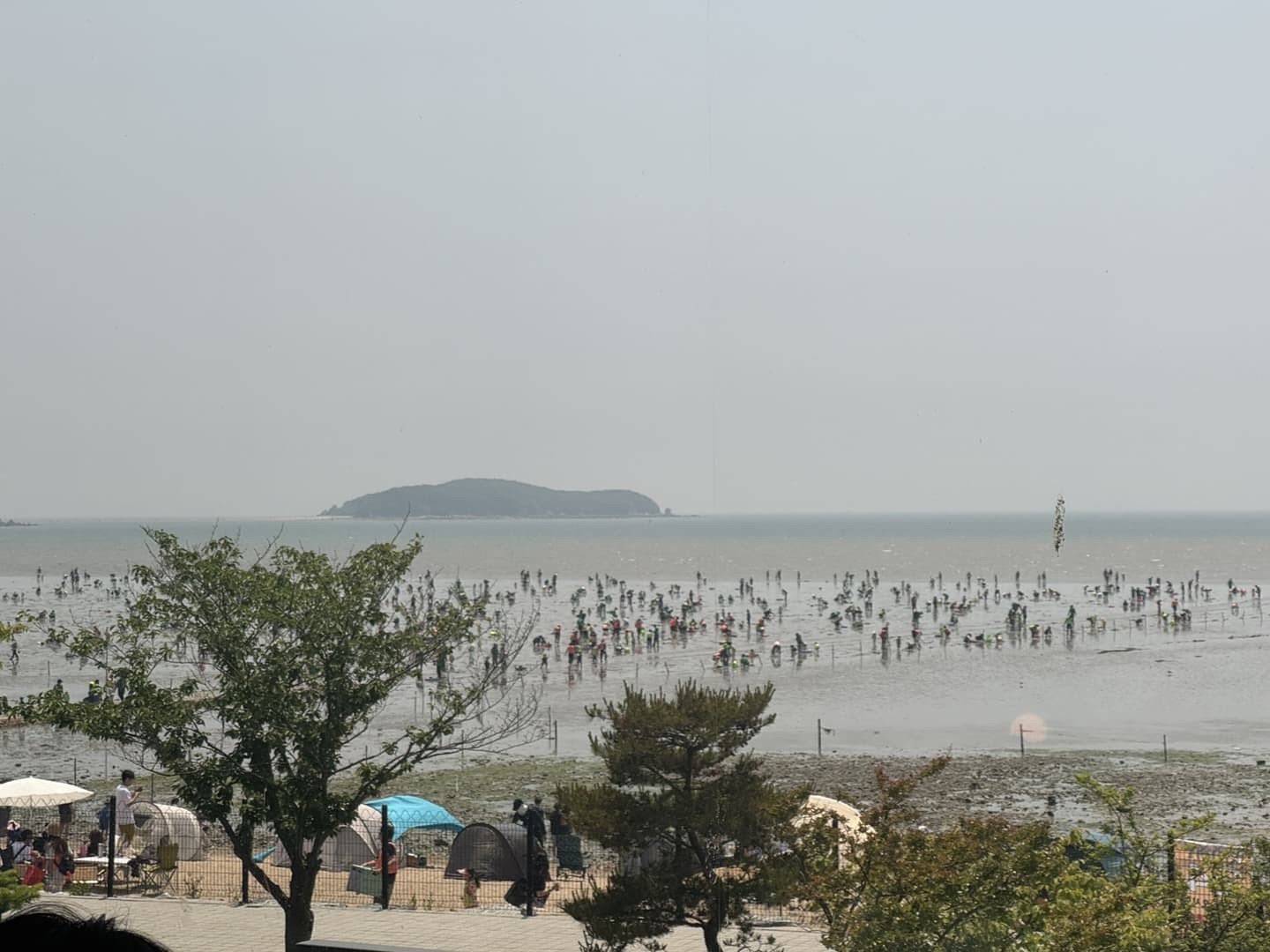 마시안 갯벌체험