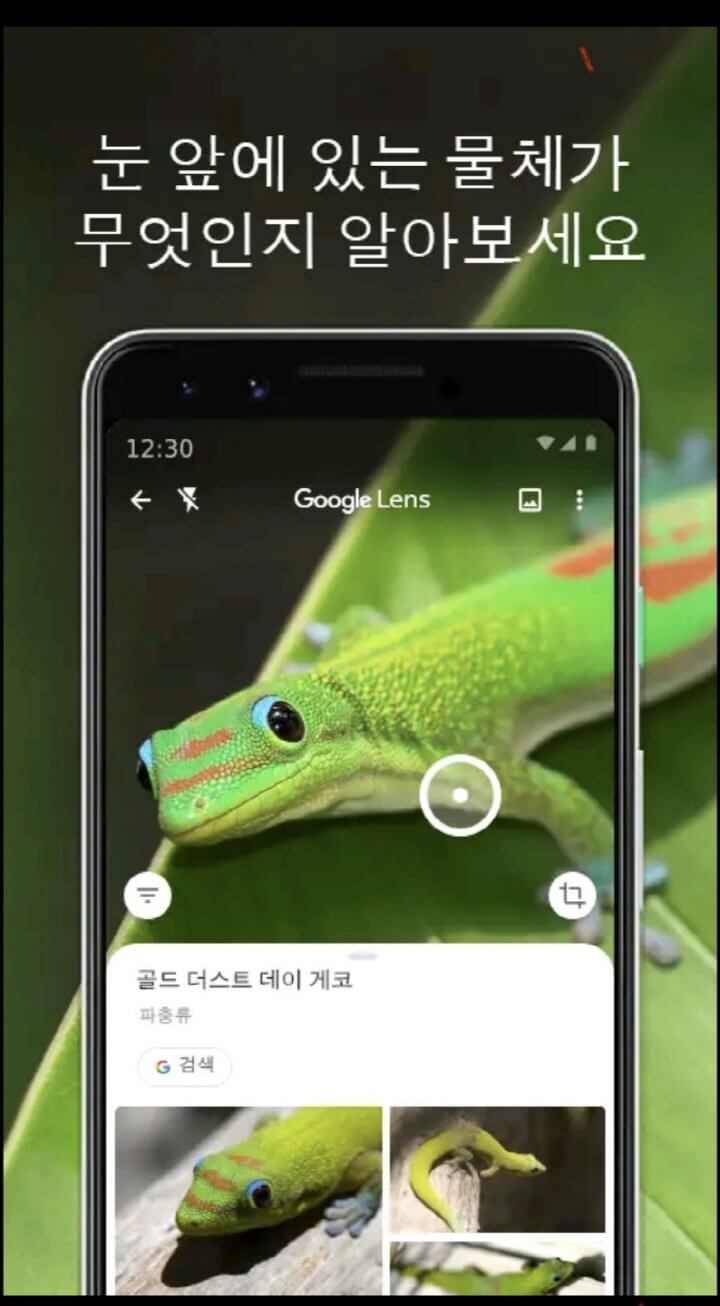 구글 렌즈-동식물-검색