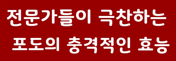 전문가들이 극찬하는 포도의 충격적인 효능