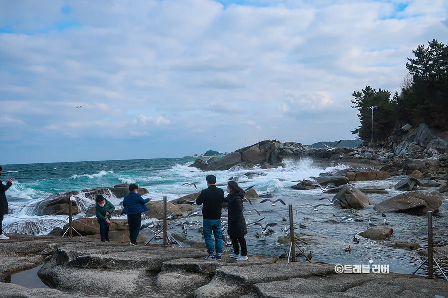 동해바다 볼거리 양양 휴휴암 4