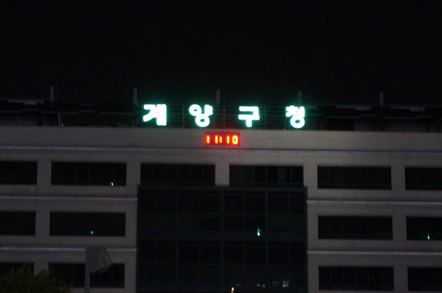 u-20 2019 FIFA U-20 남자 월드컵 8