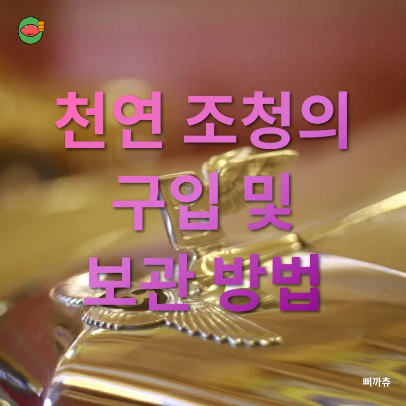 프리미엄 천연 조청_3