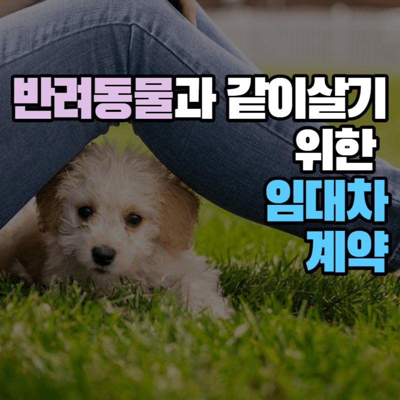 반려동물을 임대인 몰래 키우다 발견 되면? : 반려동물 특약사