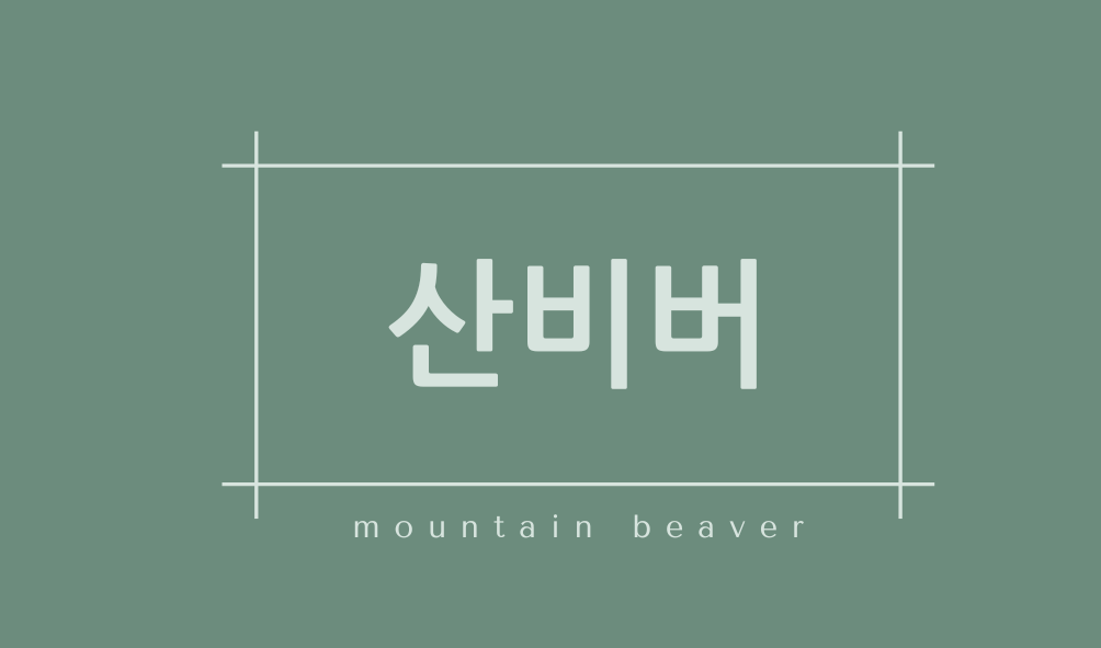 산비버(mountain beaver)