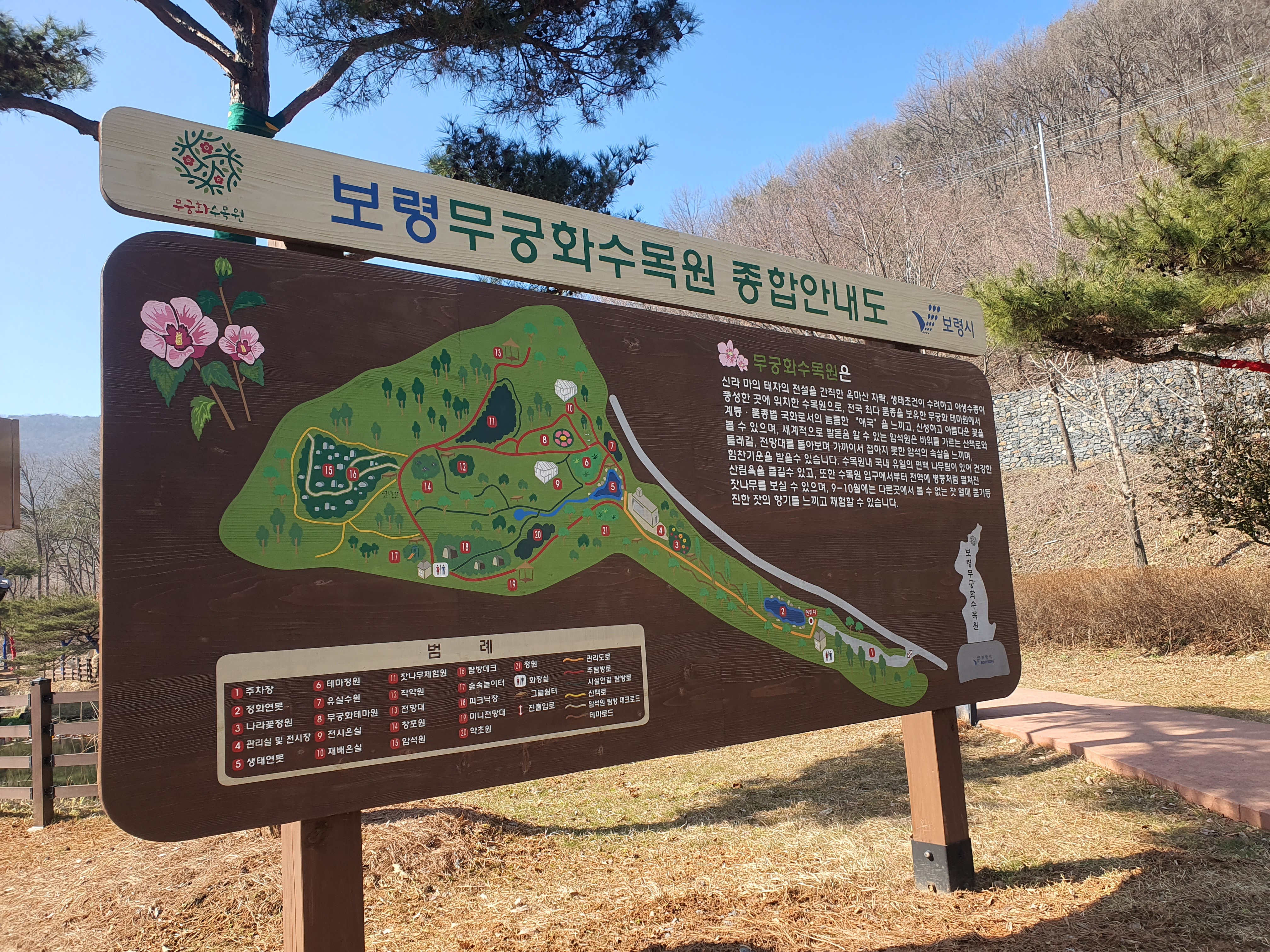 보령 무궁화 수목원 봄 여행