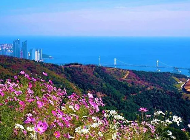 황령산
