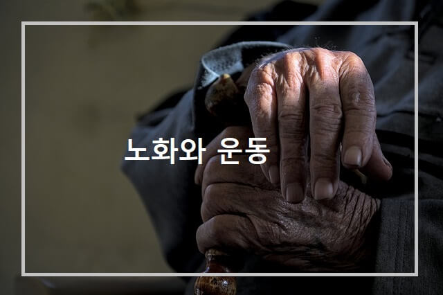 노화와 운동