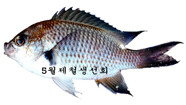 img.jpg