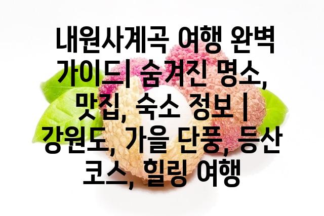 랜덤147