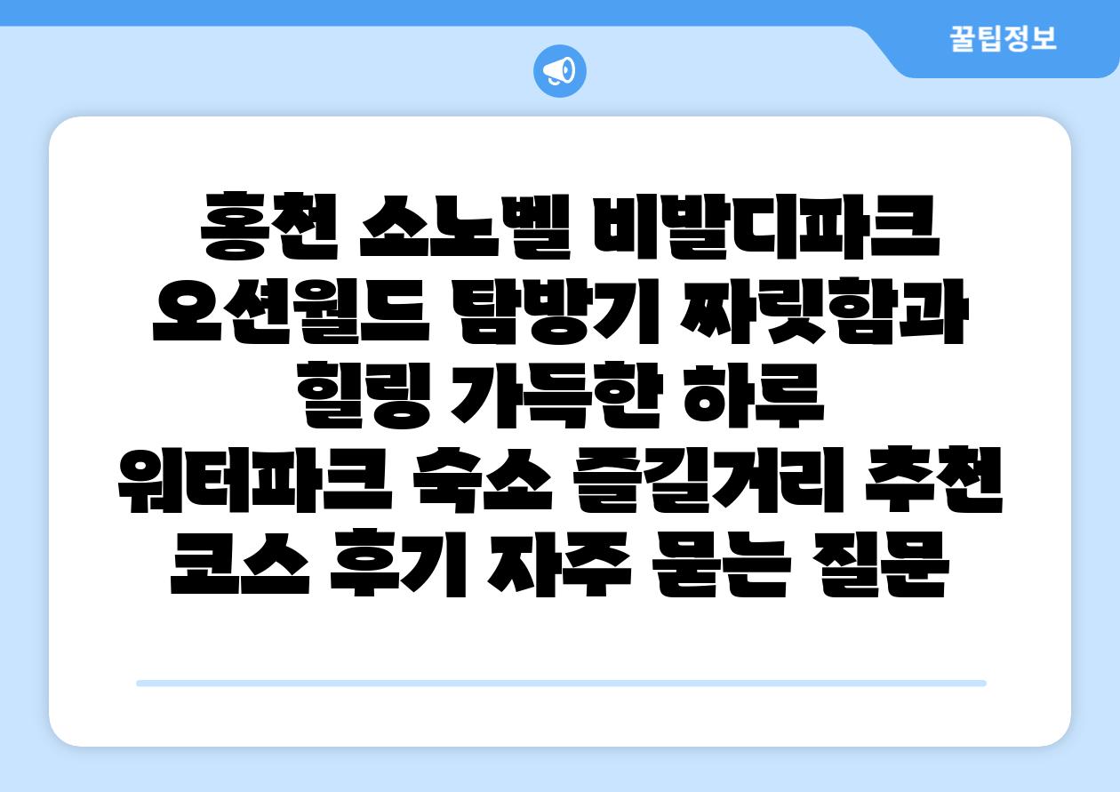  홍천 소노벨 비발디파크 오션월드 탐방기 짜릿함과 힐링 가득한 하루   워터파크 숙소 즐길거리 추천 코스 후기 자주 묻는 질문