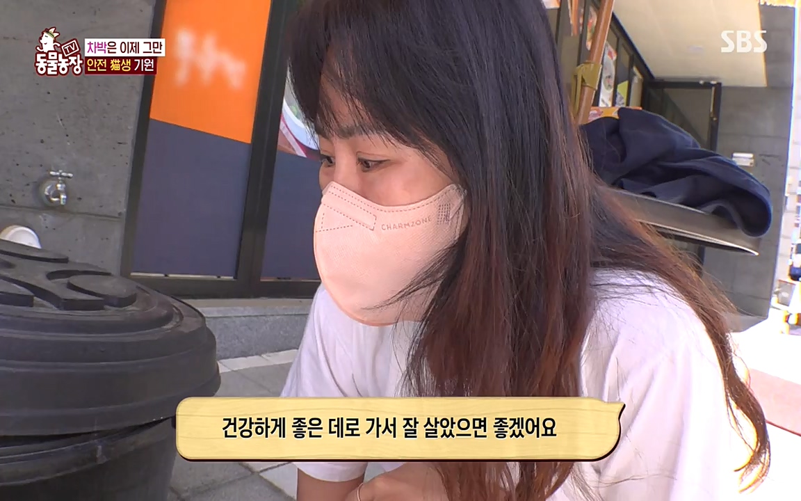 TV 동물농장.E1075.220627p-NEXT.mp4_20220626_175616.135.jpg