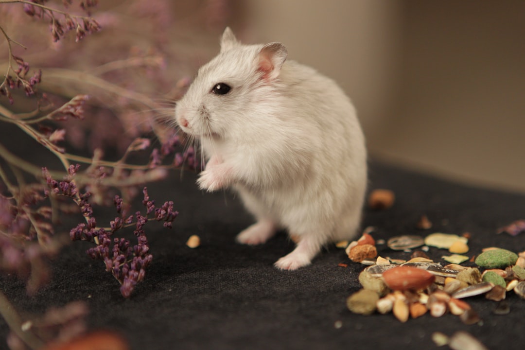 Mouse