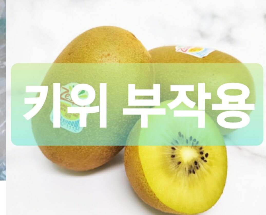 키위 부작용