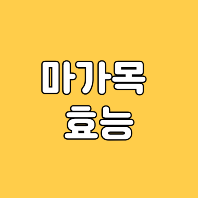 마가목 효능