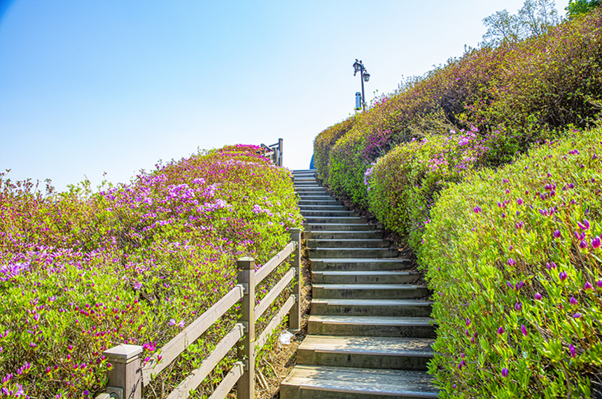 군포철죽동산