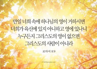 성경 말씀 구절 찾기 좋은 성경말씀 모음_17