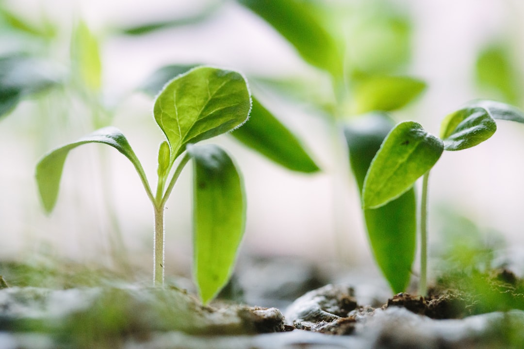 Sustainability
