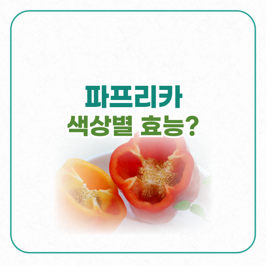 파프리카2개