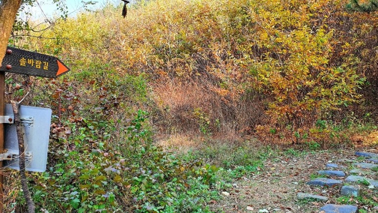 - 수덕사, 명상치유림길과 수암산의 가을 예산으로 볼거리, 단풍여행 6