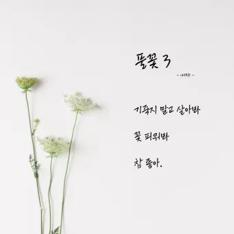 조정래 작가의 풀꽃도 꽃이다 2016 책 소개_16