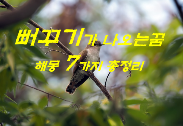  뻐꾸기꿈 해몽 7가지 총정리