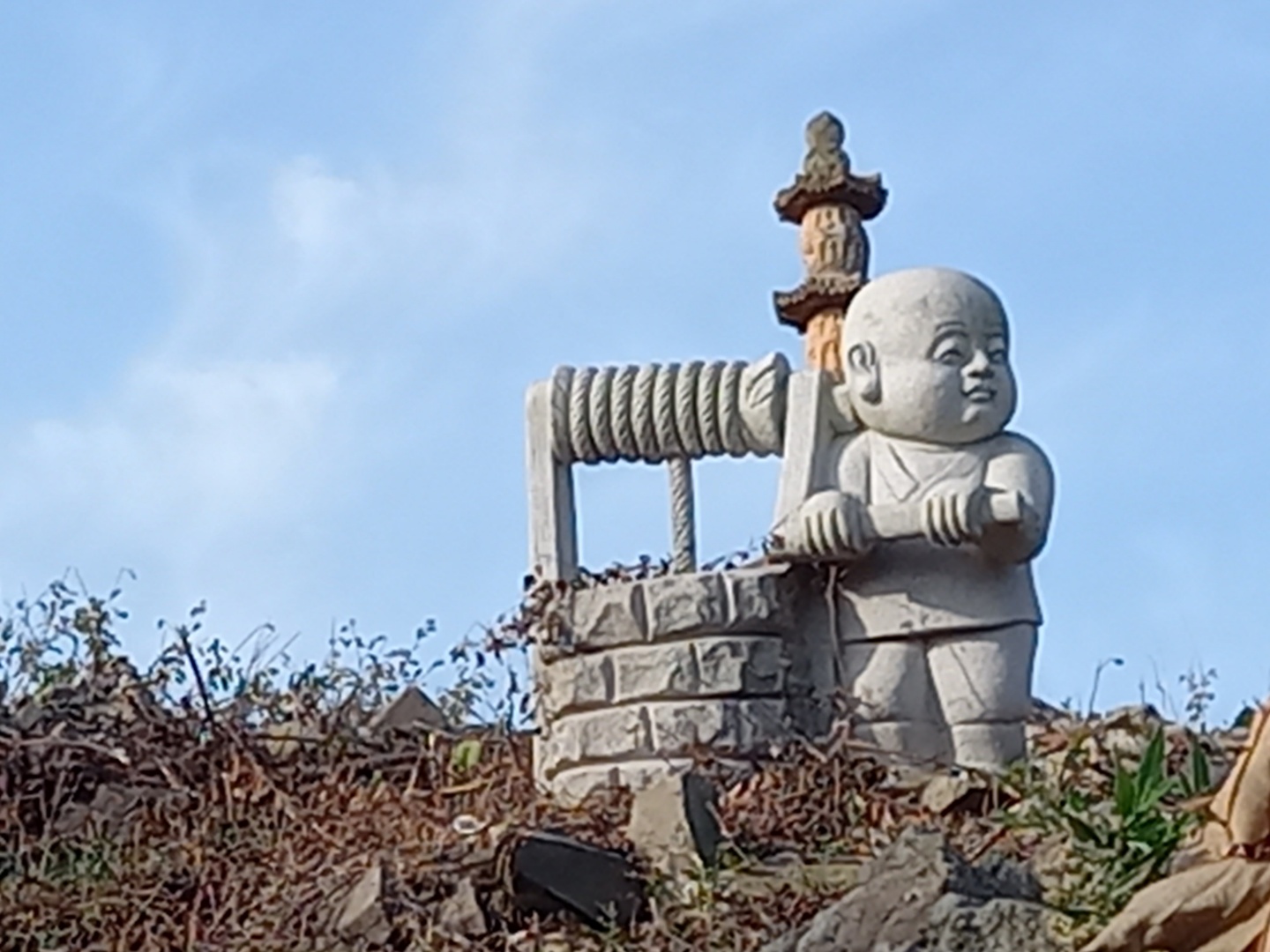img.jpg