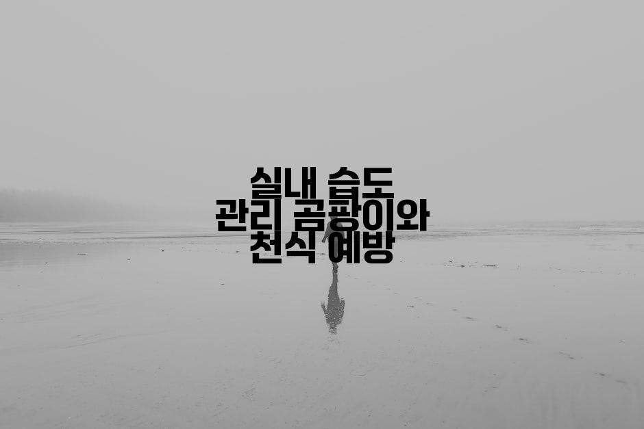 실내 습도 관리 곰팡이와 천식 예방