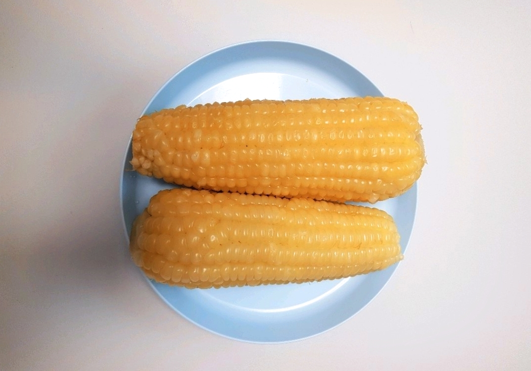  옥수수에 관한 정보